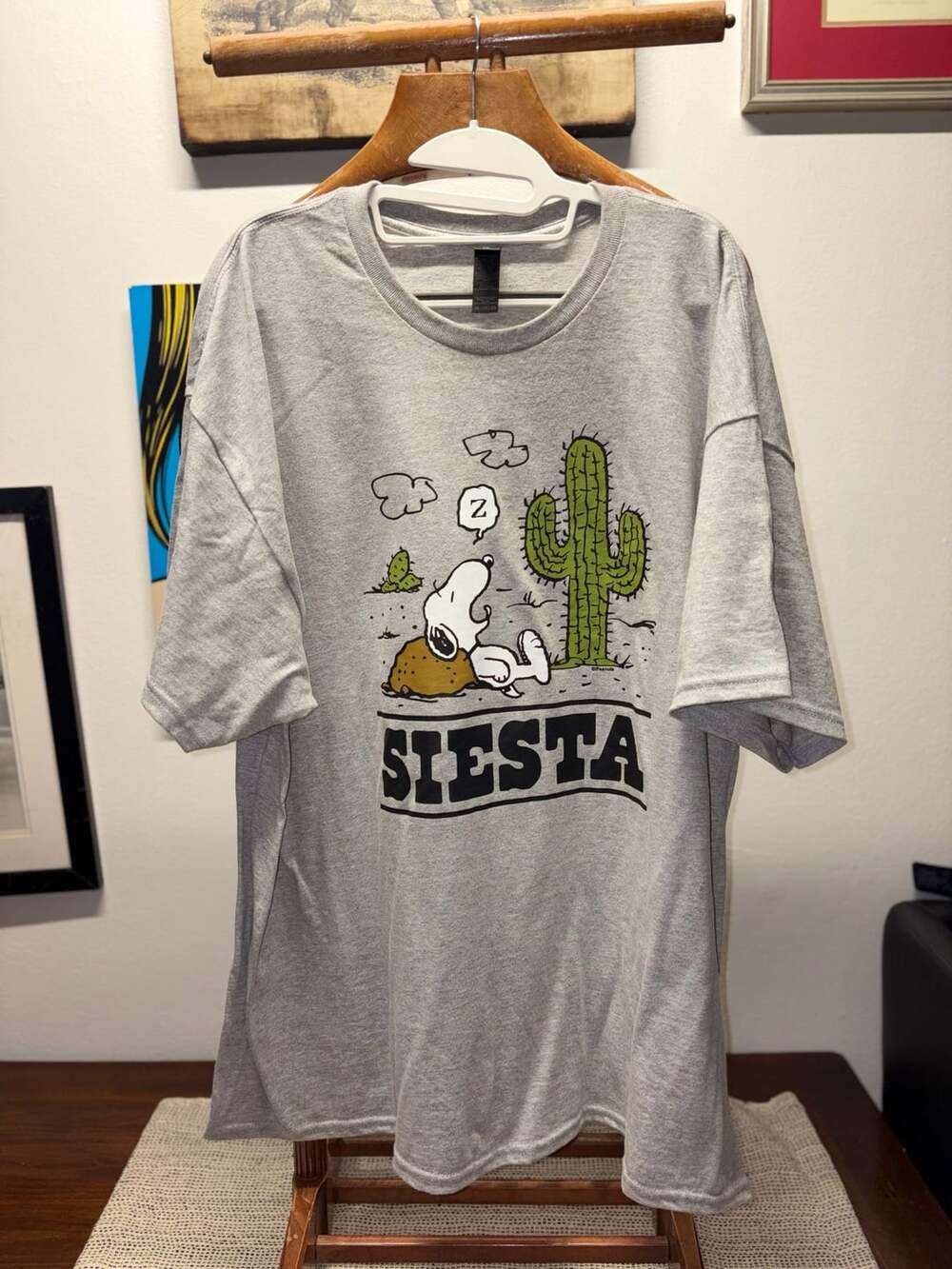 Gildan Peanuts Snoopy Siesta T-Shirt Size 2XL Gray Graphic Tee